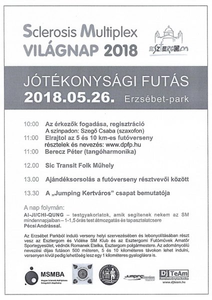 SM Világnapi Jótékonysági Futóverseny